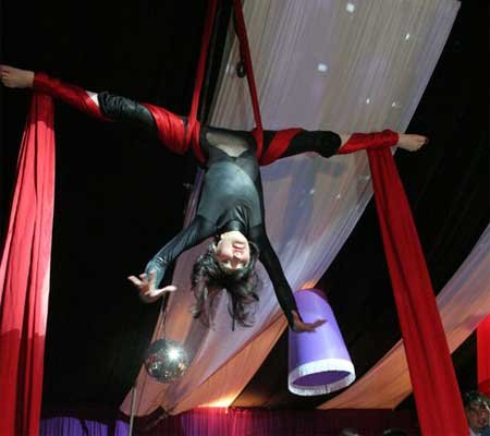 Contratar Show de Circo