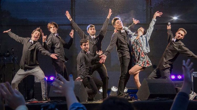 contratar a show hecatombe