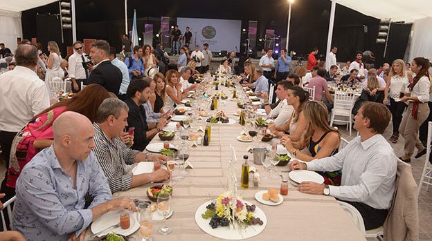 Vendimia Solidaria de Mendoza 2015